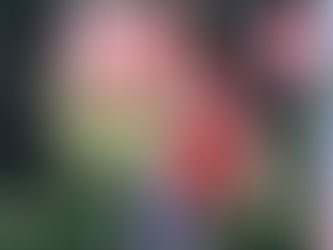 Toluca desea mantener su hegemonía sobre Tigres