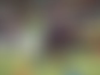 'Tecatito' Corona será jugador del Sevilla; aseguran en Portugal