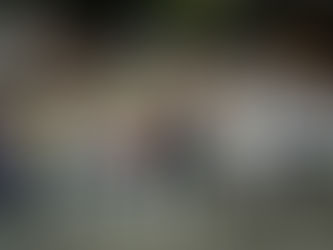 Intensa campaña de propuestas y cero ataques marcan la diferencia