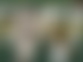 Tigres se lleva juegazo de extrainnings