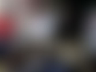 ASESORÍA DE AGRUPACIONES QUE PROTEGEN A LOS ANIMALES: SERGIO VADILLO