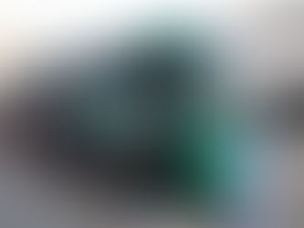 Hoy inició las nuevas zonas de ascenso y descenso en el centro de la capital yucateca