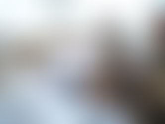 PONEN EN MARCHA PROYECTO DEL GRAN PARQUE LA PLANCHA