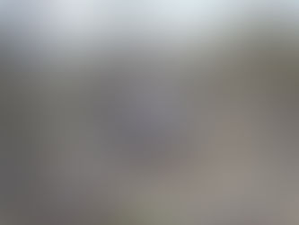 OTRA VOLCADURA EN CARRETERA YUCATECA