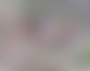 EXTRAVIADO LOCALIZADO SIN VIDA