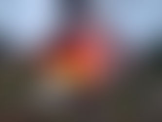 QUEMAZÓN DE PREDIO EN KANASÍN