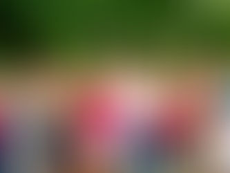 EL SUR DE MÉRIDA SERÁ TESTIGO DE LA TOMA DE PROTESTA DE CECI PATRÓN