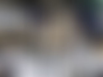 Los Leones de Yucatán cumplen 67 años de rugir en la LMB