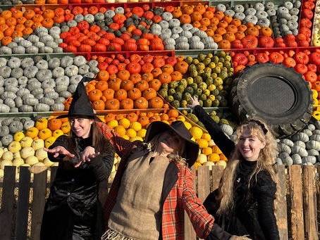 Halloween 2026 at Cammas Hall Farm: Pumpkins, Shows and Fright Nights