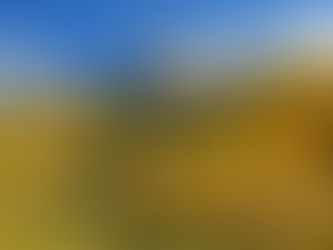 Challenge Your Inner Voice