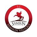 204_samsun_valiligi_logo.jpg