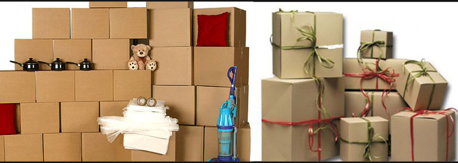 DS Packer & Movers