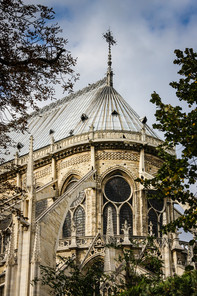 Notre-Dame Cathedral, Paris