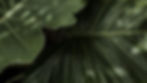 db5dada1d92ebd73cb2d595a71f94ab7.jpg