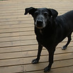 DSC07476.JPG