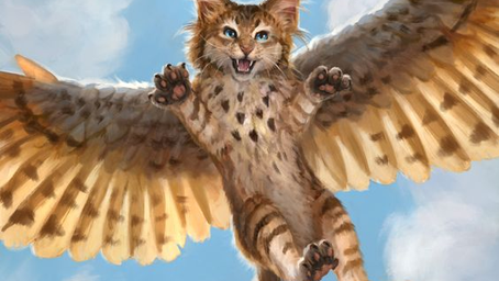 F - Owlcat