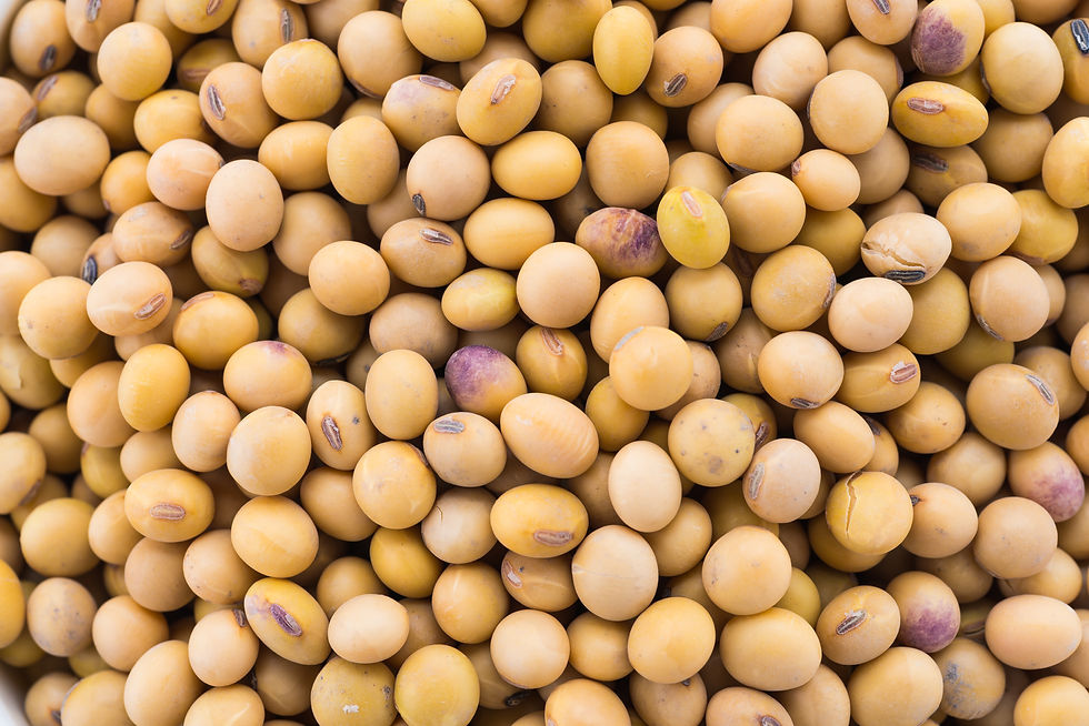 soybean.jpg
