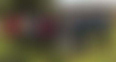 Domaine St Jean de l'Arbousier (près des Castries)