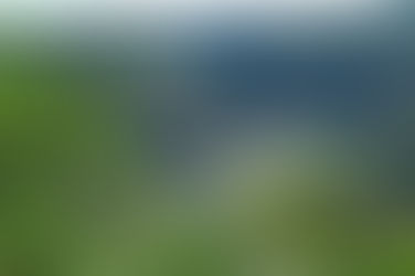 Collias jeudi 18 septembre 2025