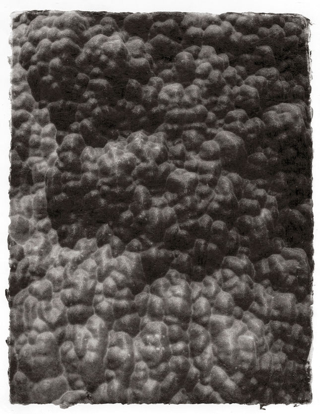 Black and White underwater Photography by Gregor Törzs hand printed in Platinum by the artist
