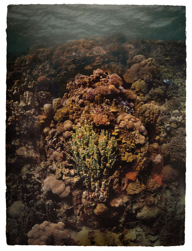 color underwater Photography by Gregor Törzs