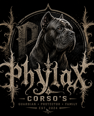 phylax002.png