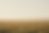 Untitled design (15).png