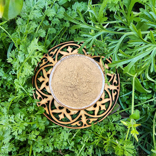 Allspice Ground Shanez Jerkyz and Spicez Australia