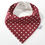 Miniatura: Bandana Mini Coroas