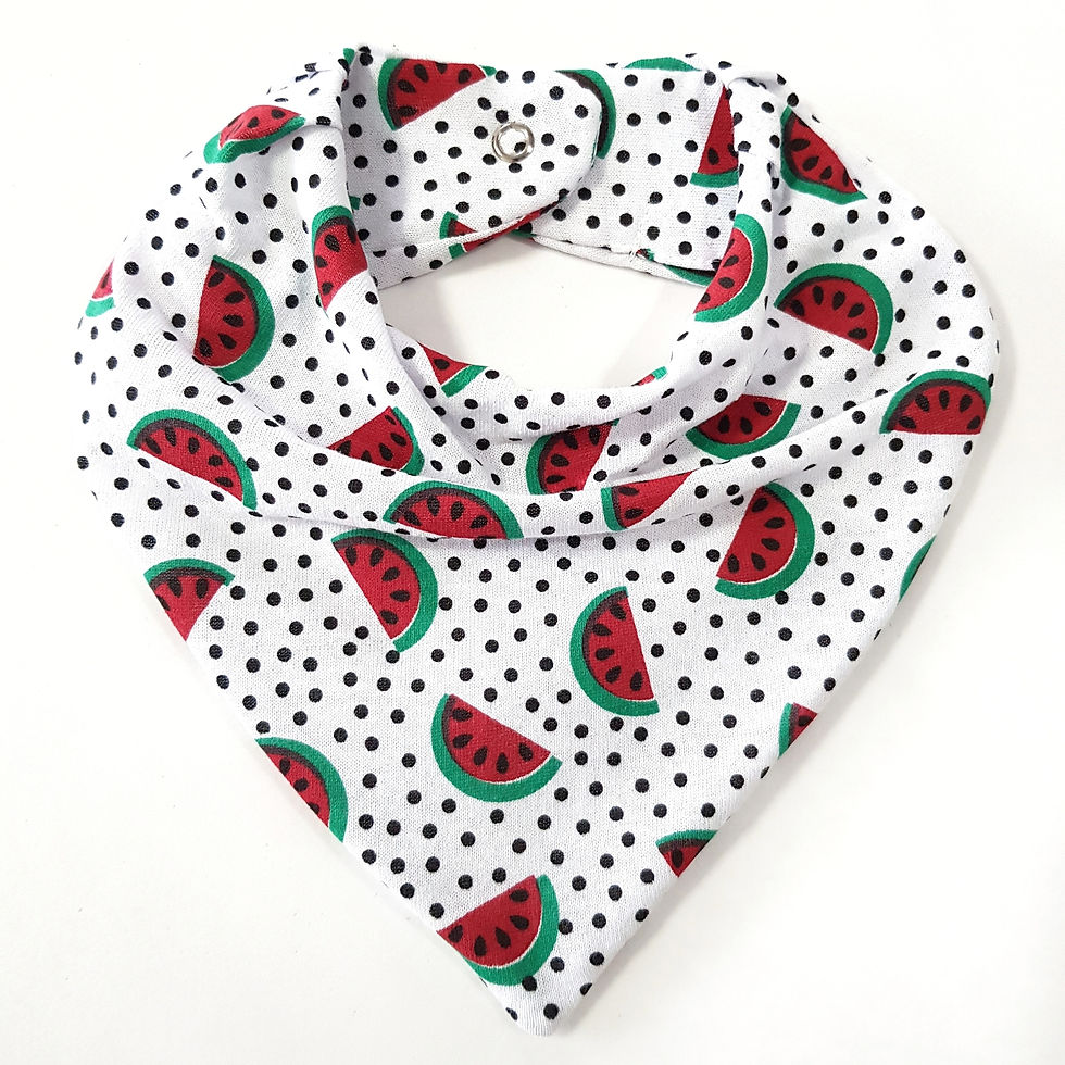 Bandana Poás e Melancias