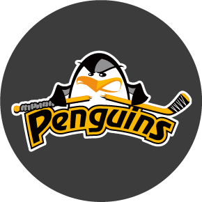 Penguins Hockey School