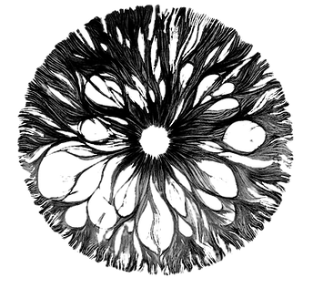 black logo_edited.png