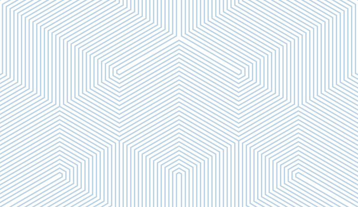 Light blue line background conference website 2025.jpg