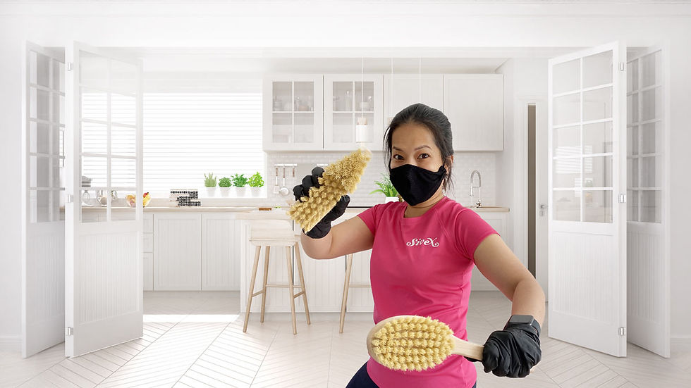 Siivous ninja Sivex