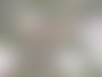 Welcome to Travel In Spite Of - Where Journeys Know No Limits