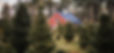 TreeFieldAndBarn_crop1.jpg