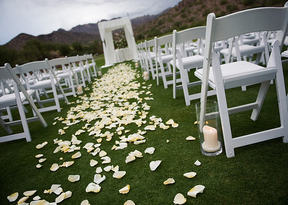 Ivory rosepetals scattered on grass