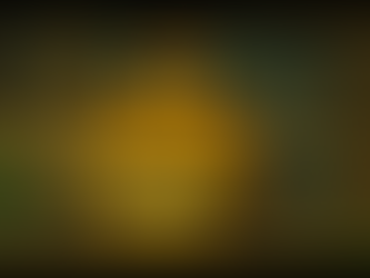 省エネ基準義務化（2025年）を完全解説！4号特例縮小への対応策から補助金活用術まで、目前に迫る大法改正を乗りこなすための羅針盤