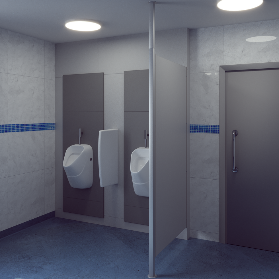 Render showing urinal IPS & modesty screen, 3D drawing
