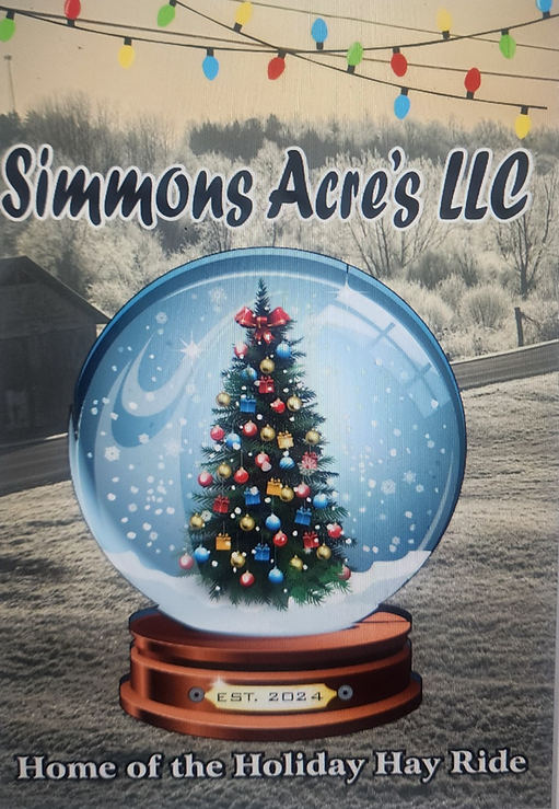 logo.png