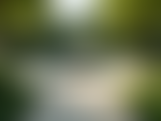 Discover the Secret to Perfect Landscaping for Your Home