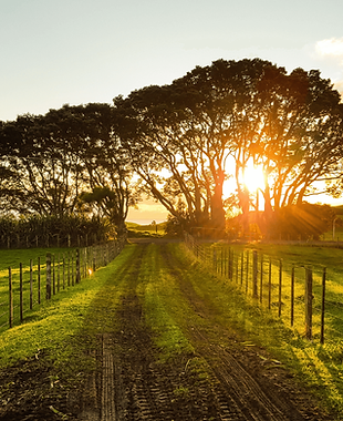 You & The Earth IG (comp).png