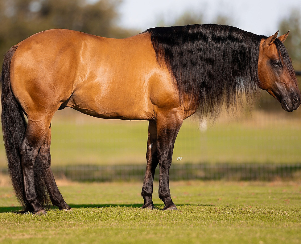 Weeman 2025_edited_edited.jpg