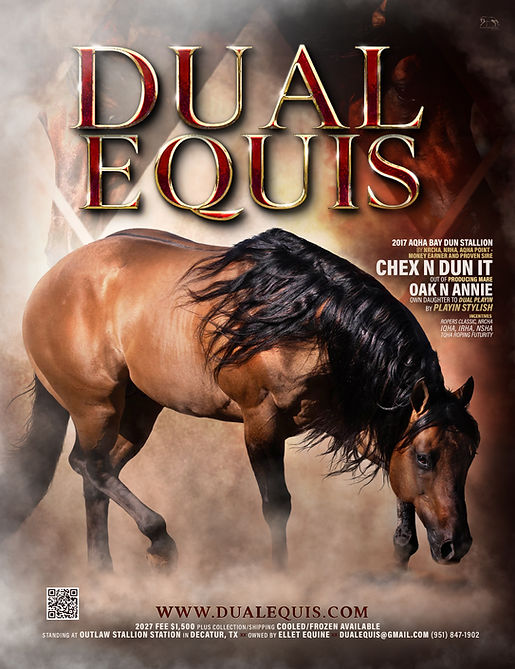 Dual Equis 2027 Ad.jpg