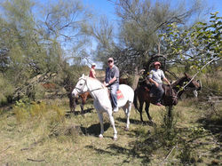 2013-03-28 13.45.50.jpg