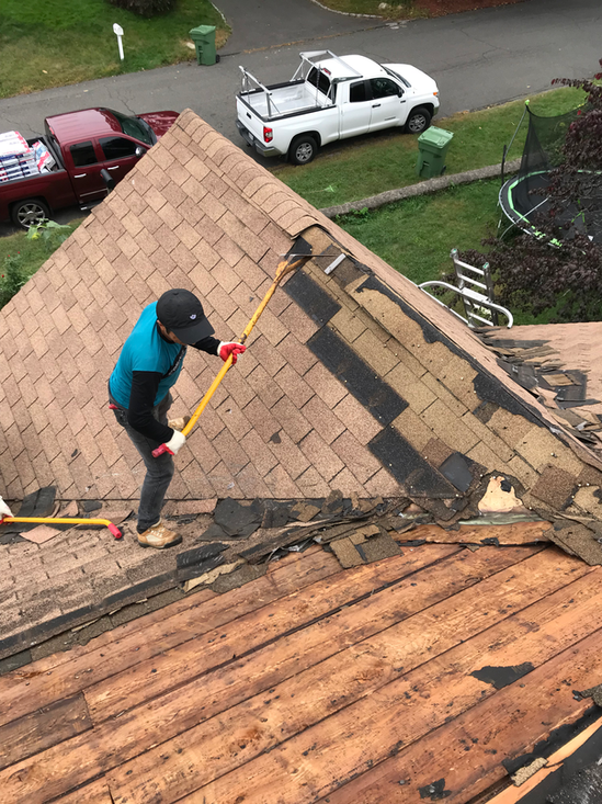 Roof Shingle removal.
