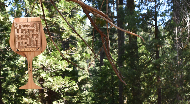 Copy of 2025 Camp Blue Week 7 C_edited_edited_edited.png