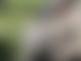 Le .22 LR : l’option économique et efficace pour s’entraîner au tir longue distance