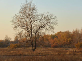快樂忙碌填充不了空虛,抑鬱迷茫交集時我遇到了佛法