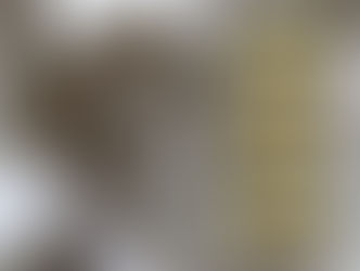 佛陀的父親慈悲的菩薩